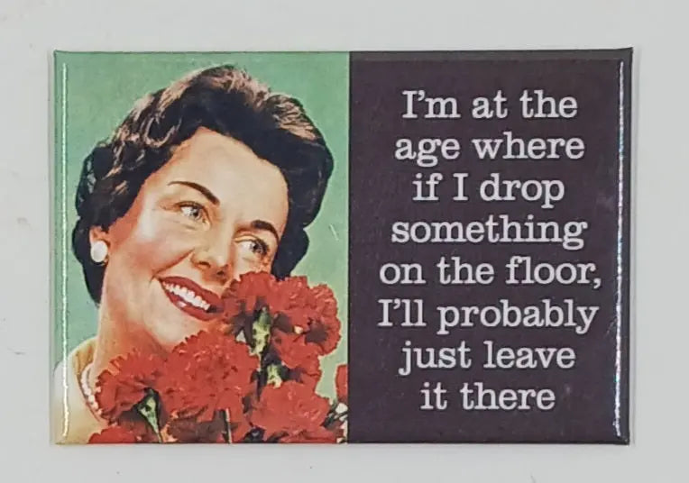 Funny Refrigerator Magnets Round The Mountain Gift Shop